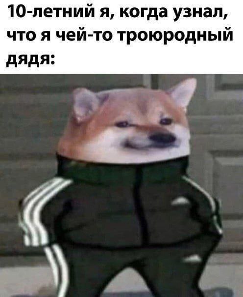  ,   , , , , , Doge