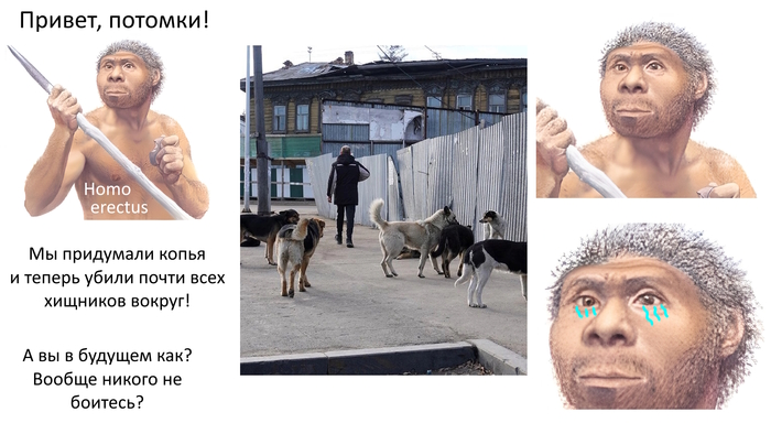 Homo erectus, мы все продолбали