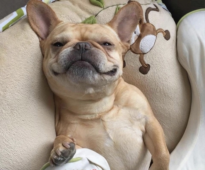 ���� �� �� ������, ��� �������� � ��������, ���������� �� ���� ���������!