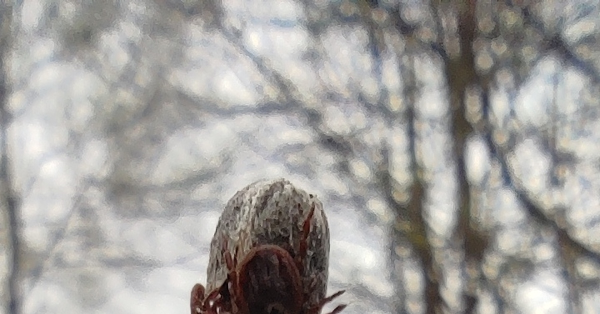 Вас ждут в лесах и полях | Пикабу