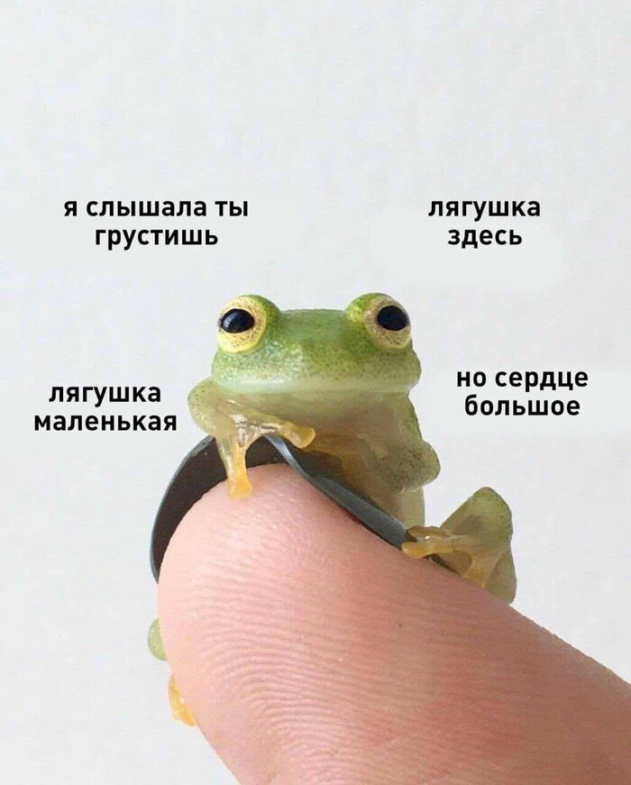 Не грусти, чувак