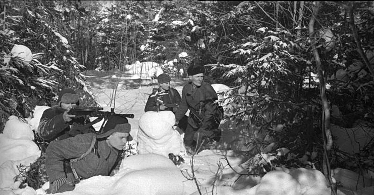 Язык вов. Партизаны Подмосковья 1941-1942. Партизаны 1942. Партизанские отряды Подмосковья 1941 года.