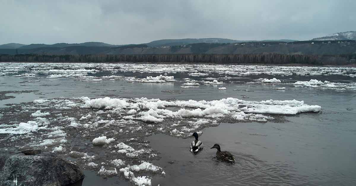 Ледоход на енисее. Енисей река ледоход. Лед на реке тронулся. Ледоход на реке.