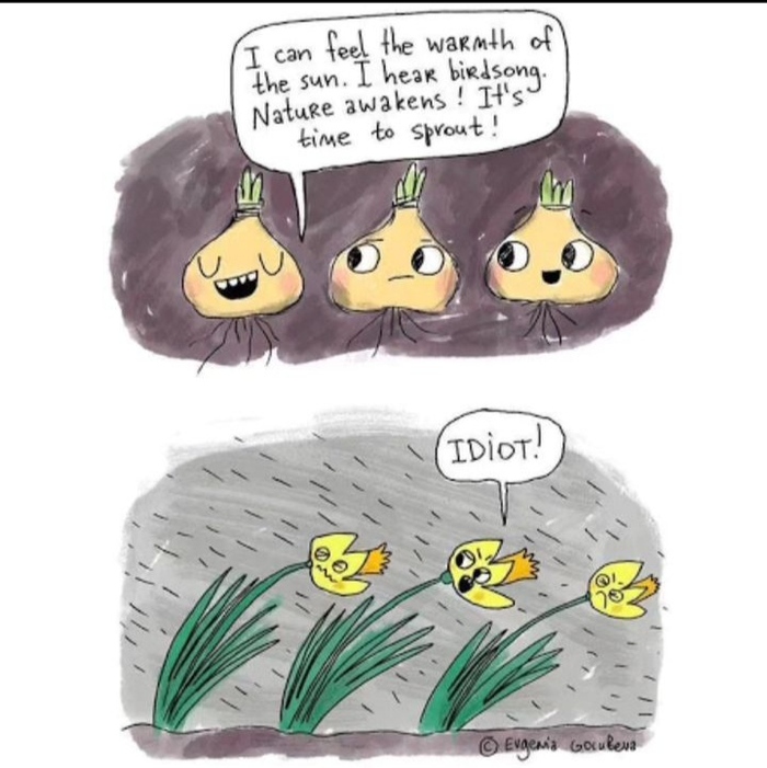  ;)