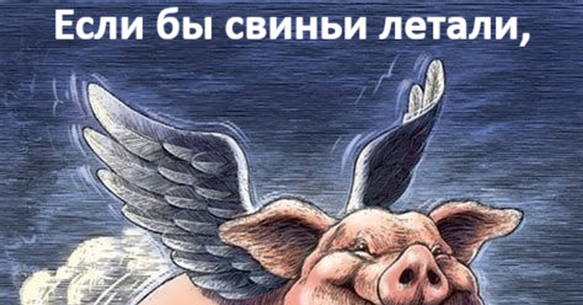 Свиные крылышки | Пикабу
