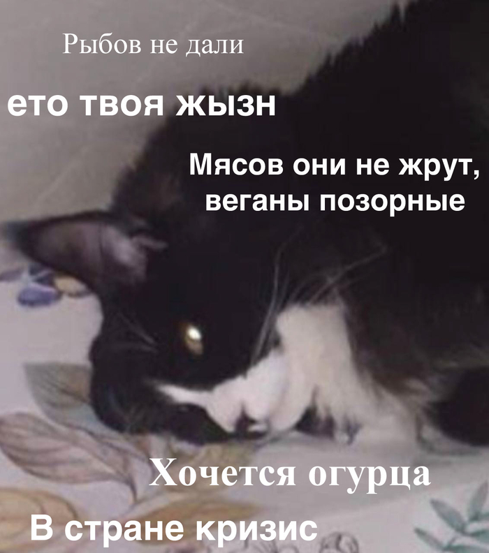 ����� ����