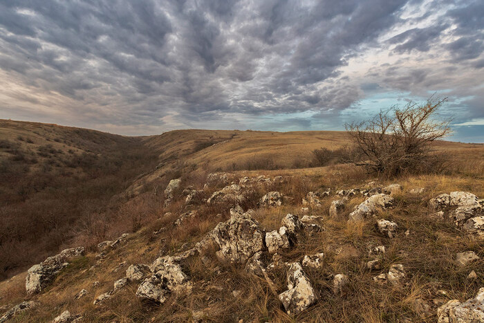 Степные картинки