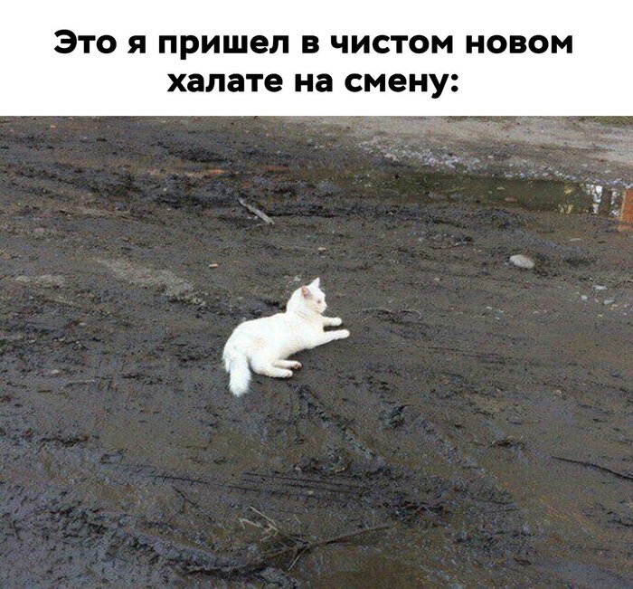     ... ,   , ,  , , 