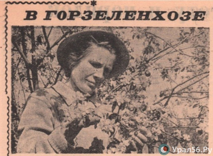 На демонстрацию или в огород. Как 1 Мая отмечали жители Орска во время СССР? Оренбургская область, Ретро, 1 мая, СССР, Длиннопост, Лесопитомник, Лесовосстановление, Саженцы