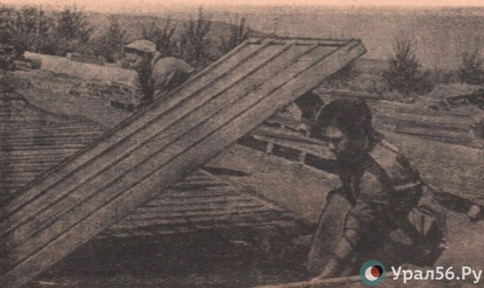 На демонстрацию или в огород. Как 1 Мая отмечали жители Орска во время СССР? Оренбургская область, Ретро, 1 мая, СССР, Длиннопост, Лесопитомник, Лесовосстановление, Саженцы