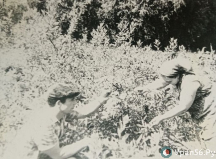 На демонстрацию или в огород. Как 1 Мая отмечали жители Орска во время СССР? Оренбургская область, Ретро, 1 мая, СССР, Длиннопост, Лесопитомник, Лесовосстановление, Саженцы