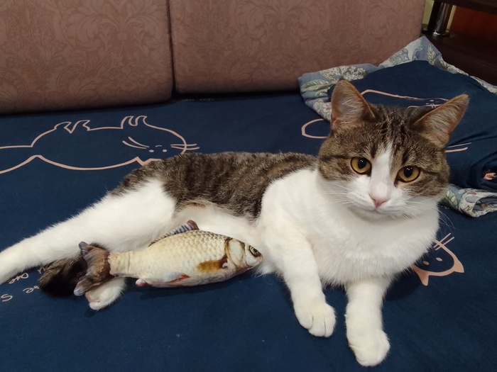 ������ �����