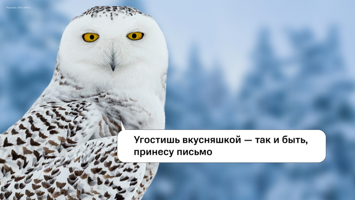 �������� ���� ����� ������� �� ������