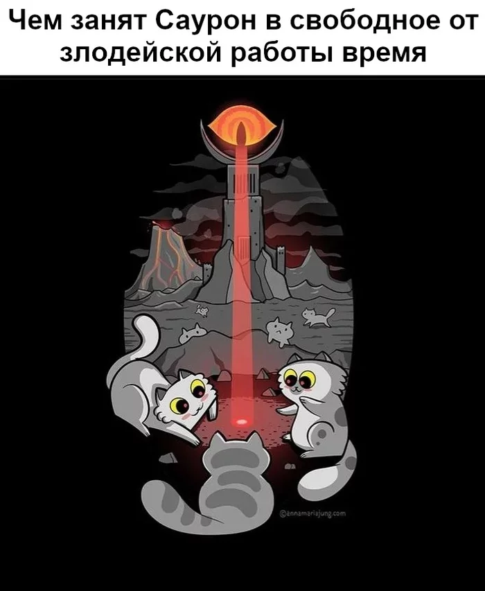 1683026952126228717.webp