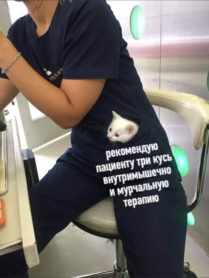   , ,   , , , 