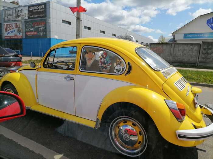 ������ ����