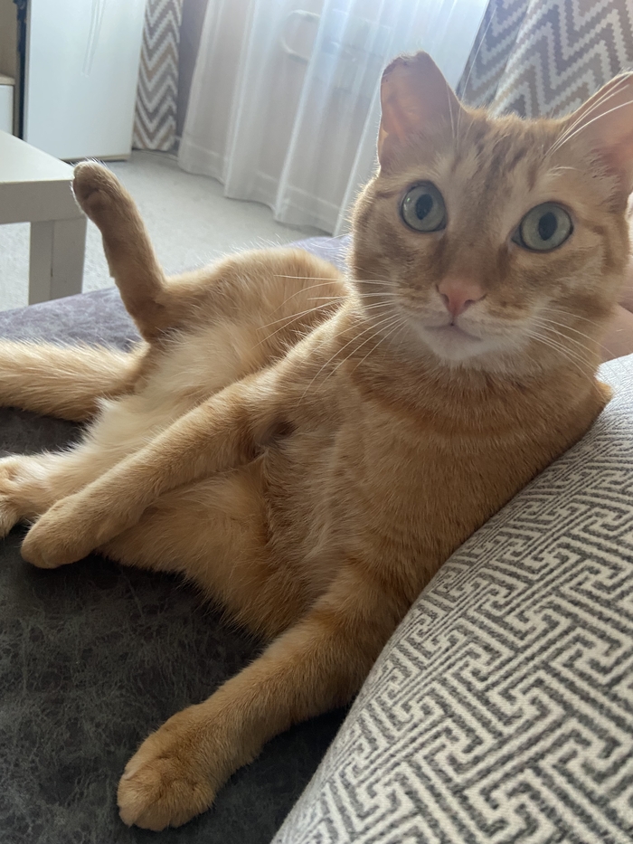 ������� ���