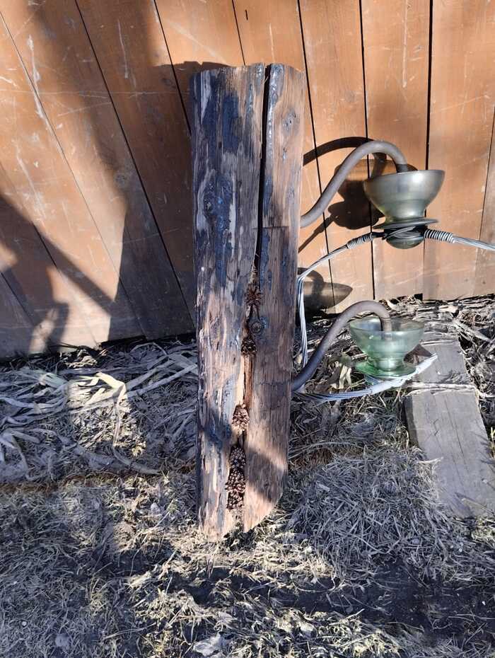 � �� ��� ����� ������?!