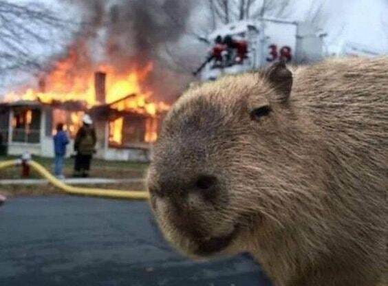 ���� ������ � ������� ������ ����� ����