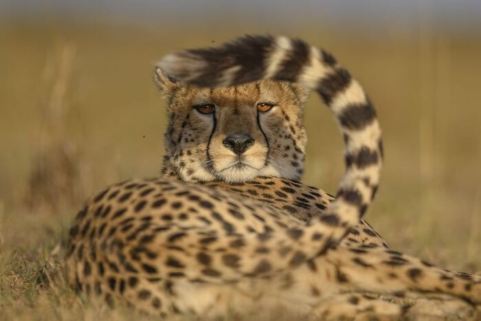 Прикрылся от солнца