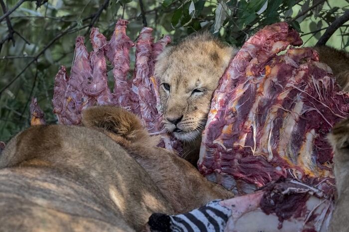 Я, кажется, застрял