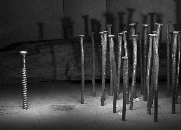 Счастливая одинокая жизнь?