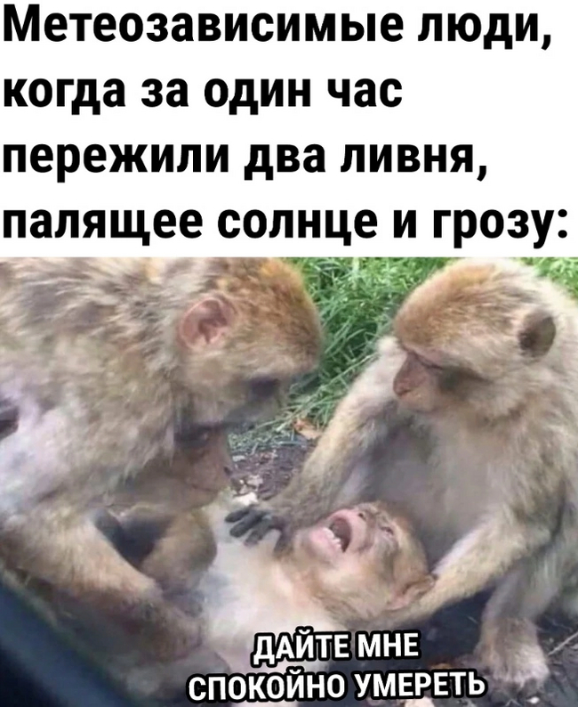 �� ������