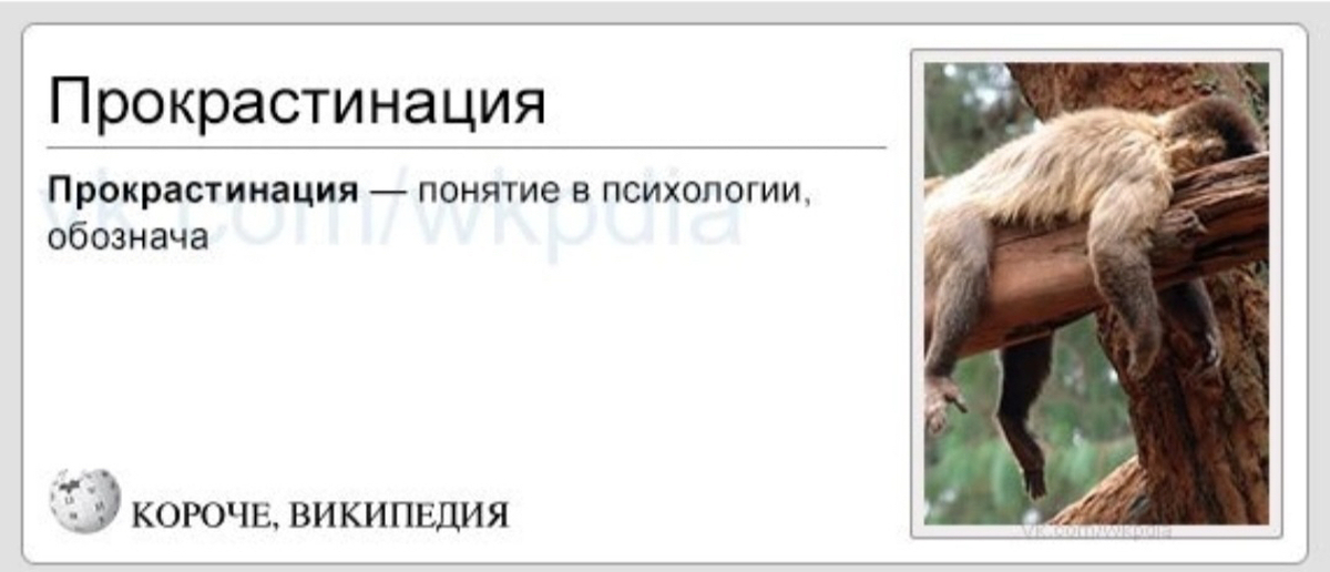 Прокрастинация смешные картинки