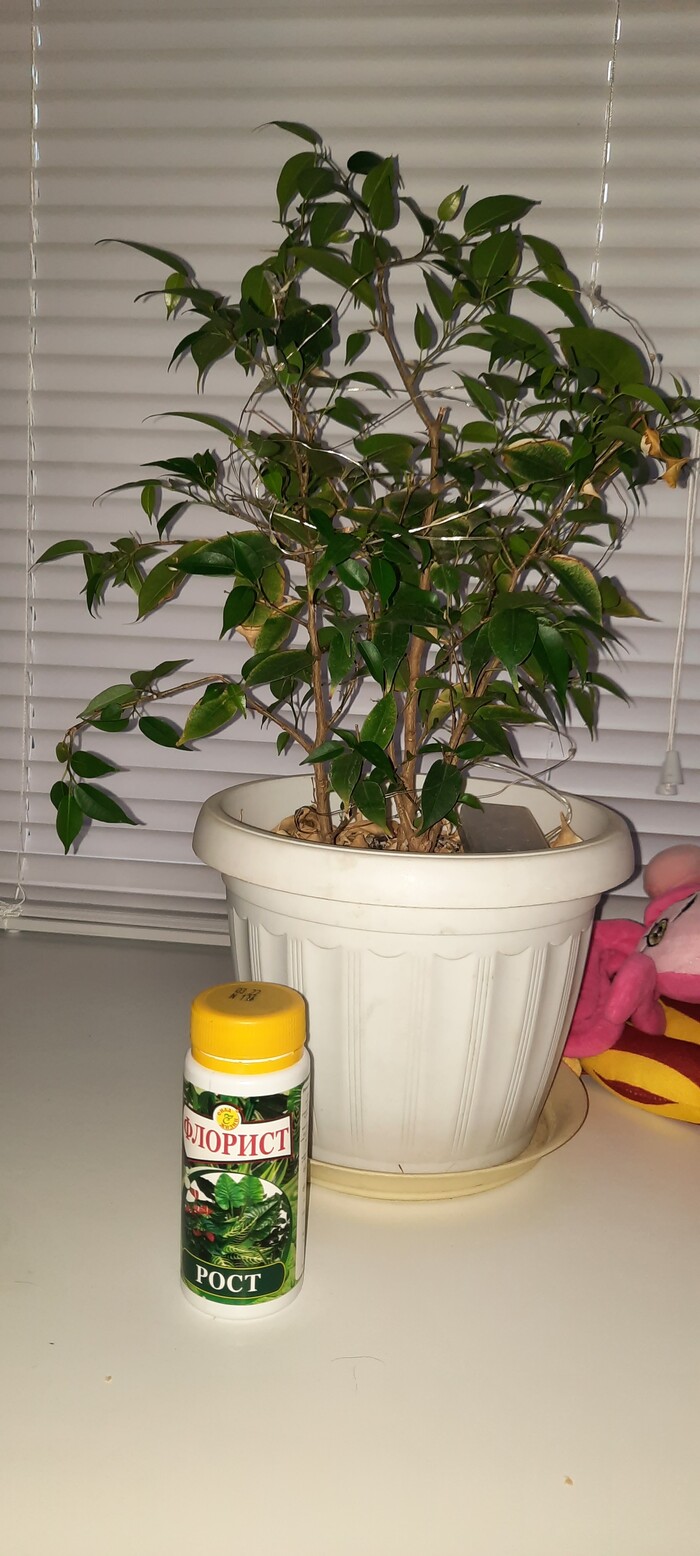 Игорь болеет?