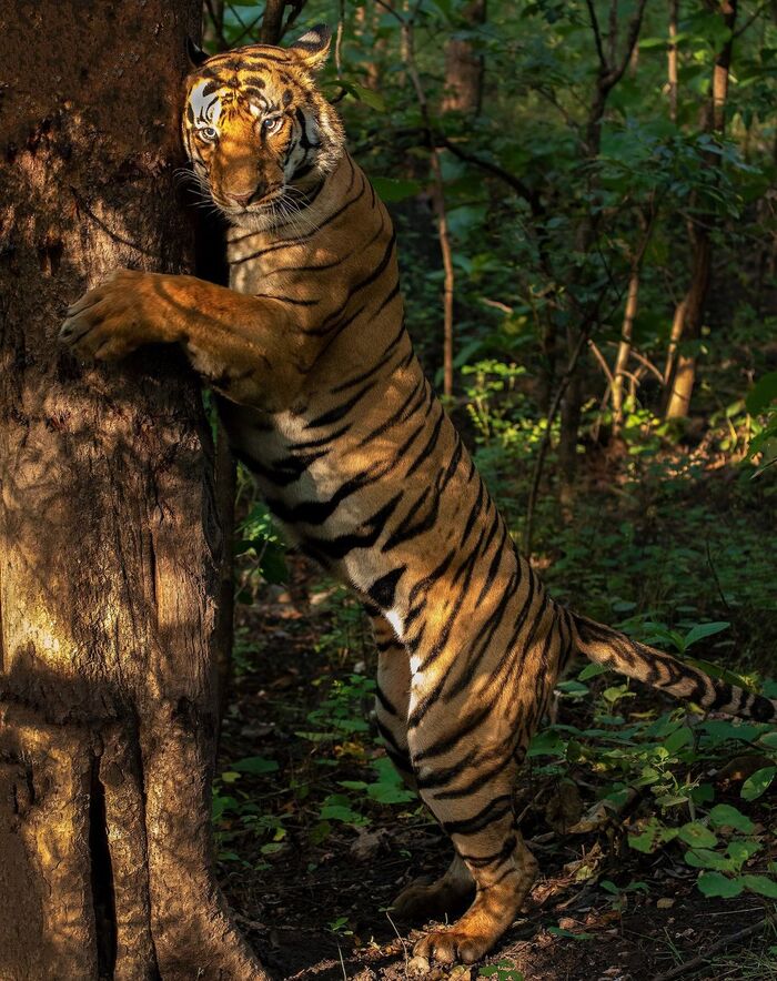 Иногда так хочется кого-нибудь обнять