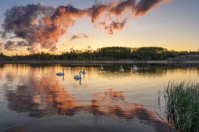Городищенское озеро