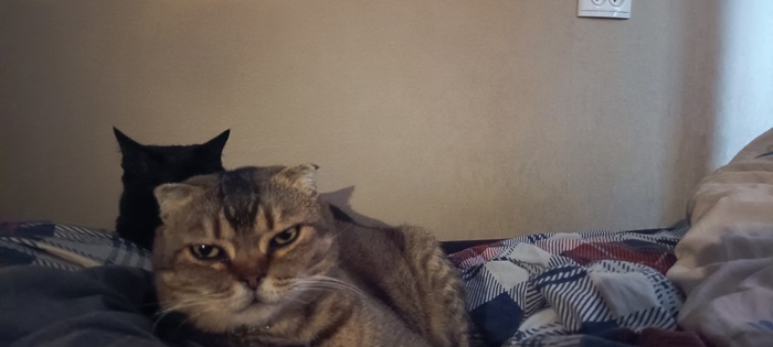 � � ��� ����