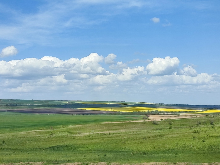 Поля Ставропольского края