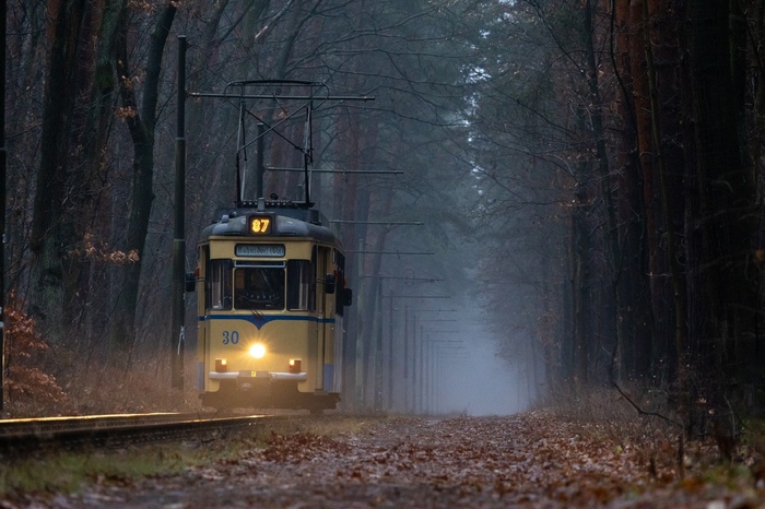 Wideisland582 | Вольтерсдорф, Германия