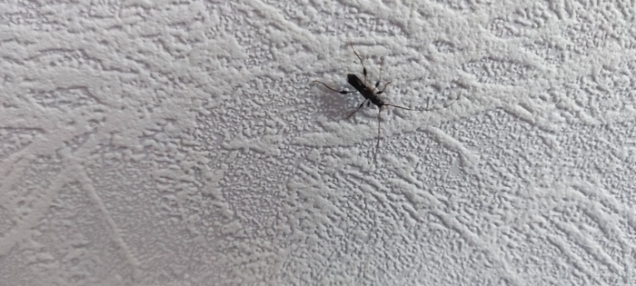 �������� ���������� ����