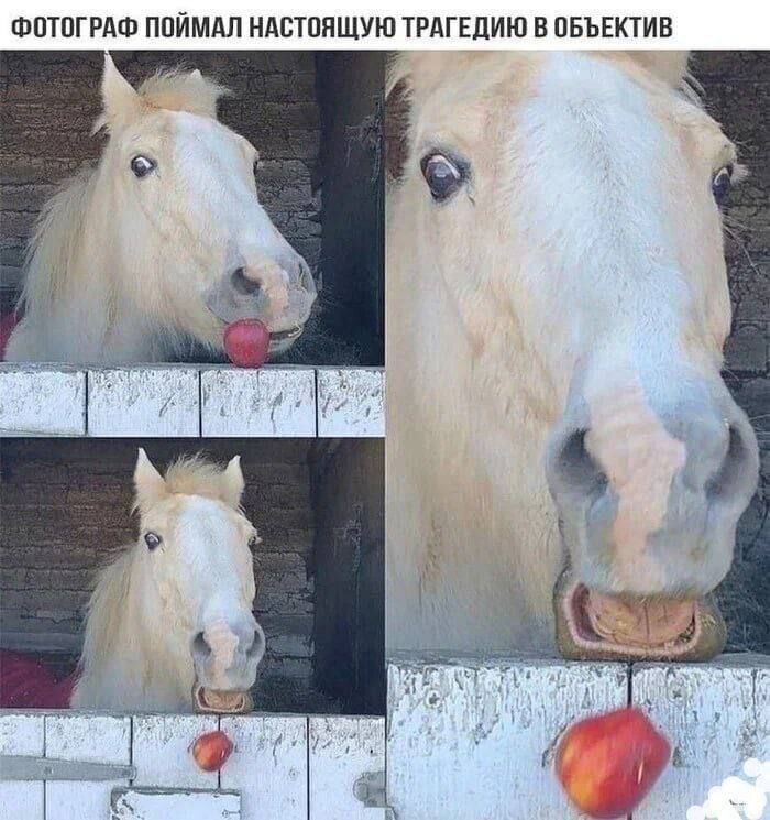 Было, но как же его жалко