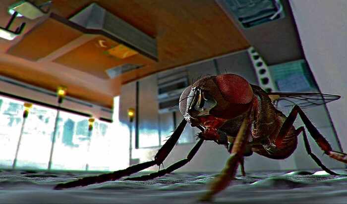 ��� � ������ ���������. � ��� ���� ������ ����