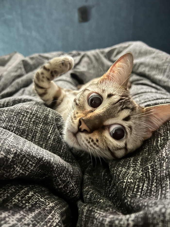 ����� ���������� ������