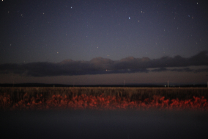 Lowfi photo.  