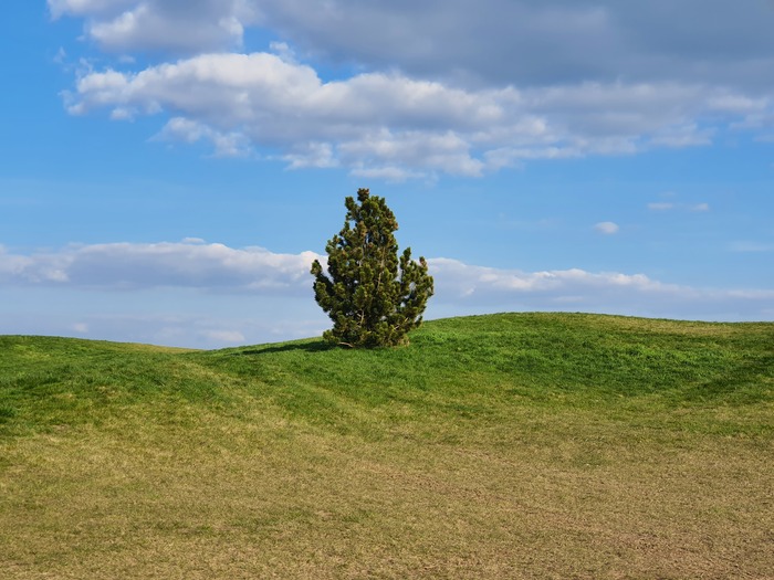 На поле для гольфа