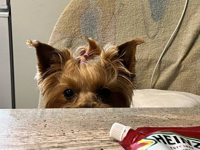 Вы что там, жрёте, что-ли?!