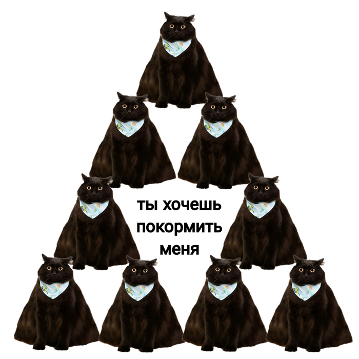    , ,  , ,   ,  