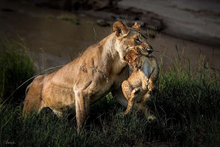 Потом доиграешь