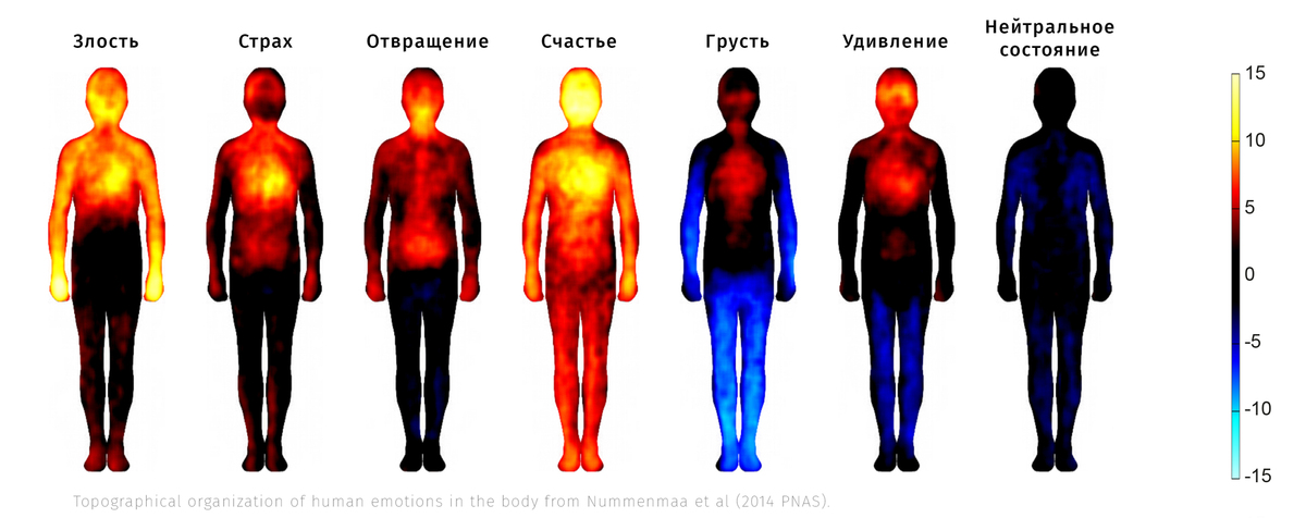 Какого цвета тела