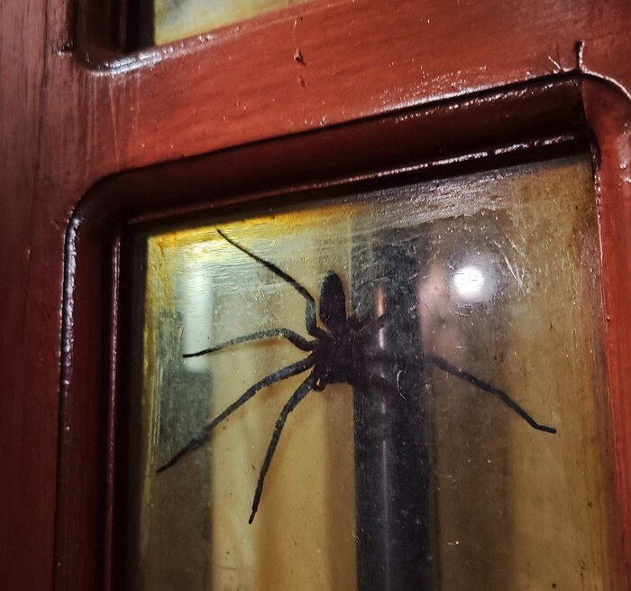 ������������, � ����� ��������?