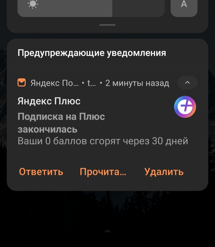 Какая жалость Баг, Яндекс Плюс, Баллы, Скриншот