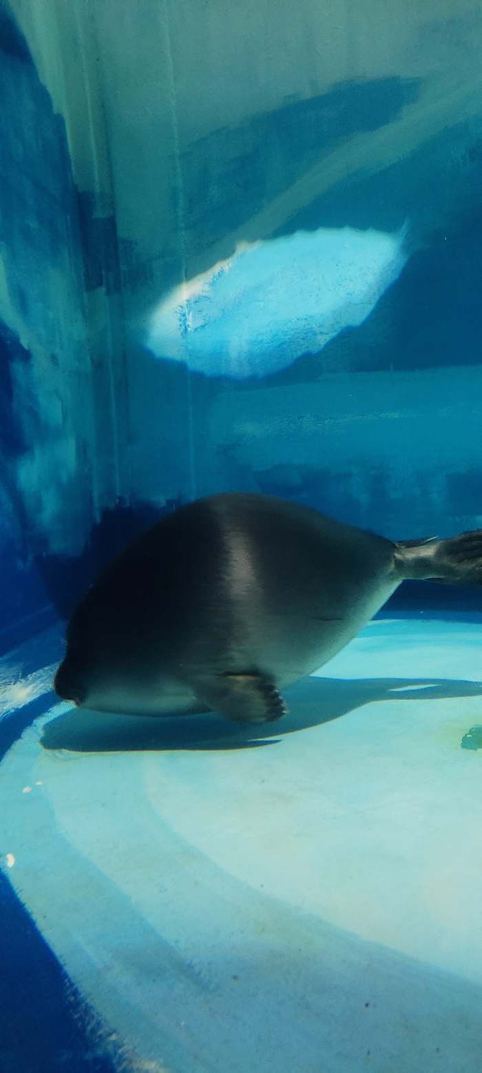 �������, �� ��� �� ���?