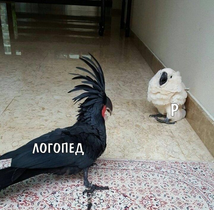      30 ? , , ,   