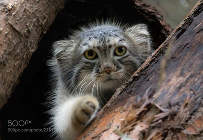 ��� ��� ������?