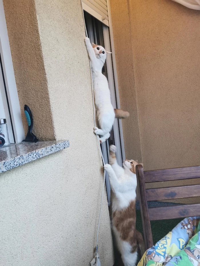 ��������� ����.��� �� ��� ��������...